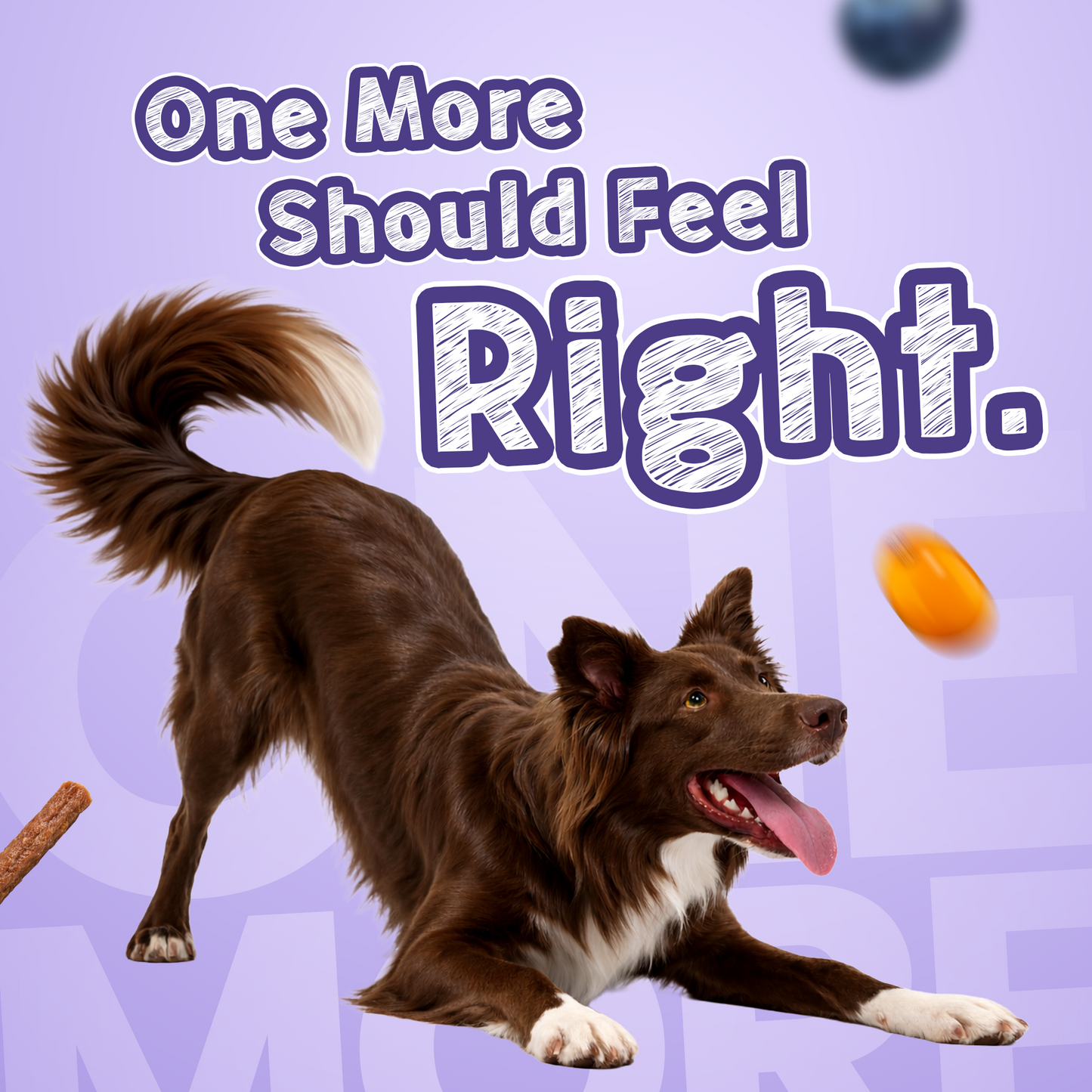 Shinyy+ Functional Treats - Skin &amp; Coat Support Treats for Dogs