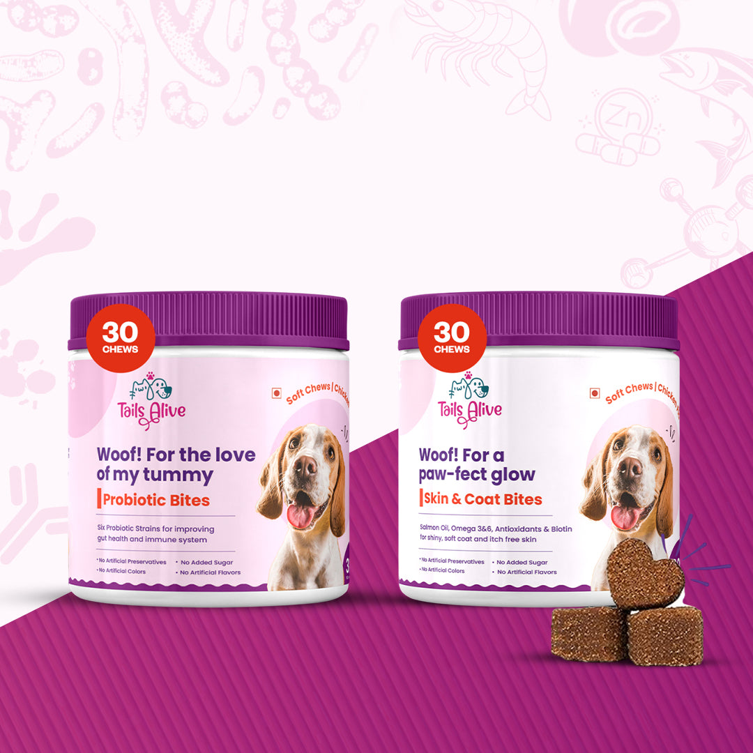 Tails Alive Probiotic + Skin & Coat Soft Chew Supplements Combo for Dogs | Chicken Flavor | Supports Gut Health & Promotes Healthy Skin