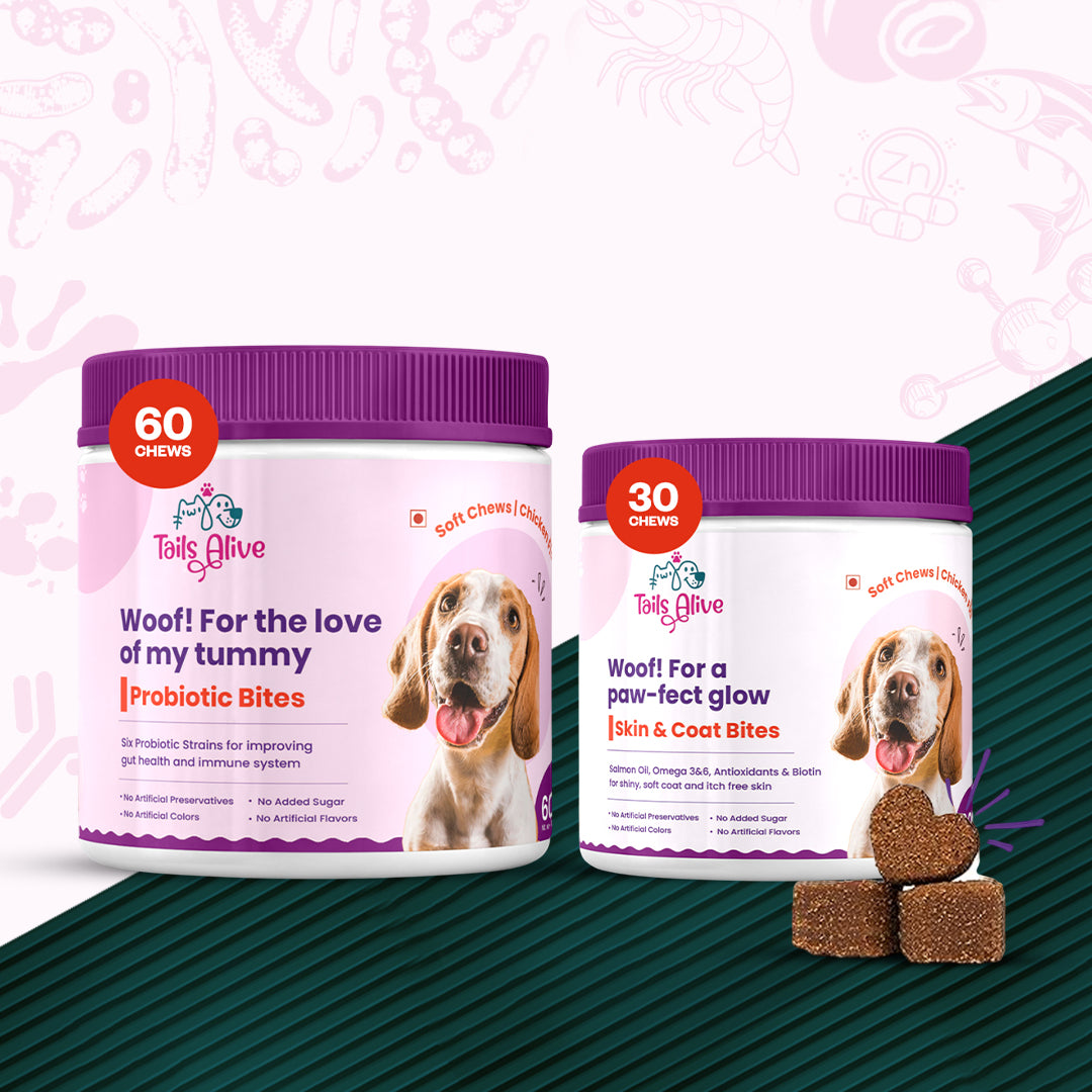 Tails Alive Probiotic + Skin & Coat Soft Chew Supplements Combo for Dogs | Chicken Flavor | Supports Gut Health & Promotes Healthy Skin