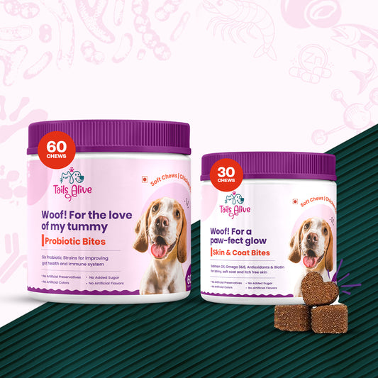 Tails Alive Probiotic + Skin & Coat Soft Chew Supplements Combo for Dogs | Chicken Flavor | Supports Gut Health & Promotes Healthy Skin