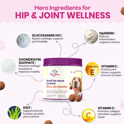 Hip & Joint Soft Chew Supplement for Dogs |   Chicken Flavor | For Mobility & Flexibility