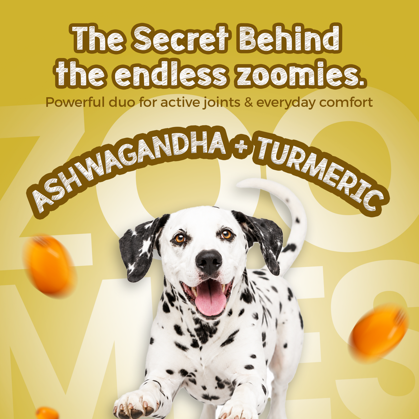 Jumpies+ Functional Treats – Hip & Joint Support Treats for Dogs