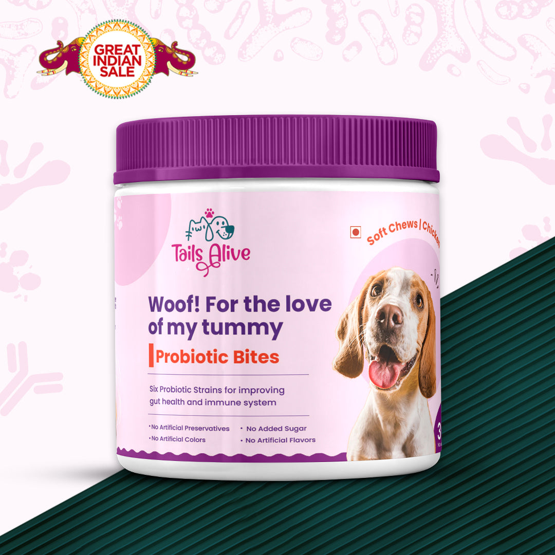 Probiotic Soft Chew Supplement for Dogs | Chicken Flavor | For Gut Health & Digestion
