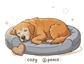 Senior Comfort