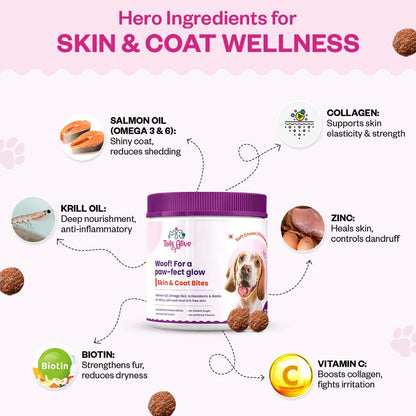 Skin & Coat Soft Chew Supplement for Dogs | Chicken Flavour | For Shiny and Healthy Coat