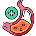 Digestion & Stools
