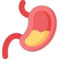 Digestion & Stools