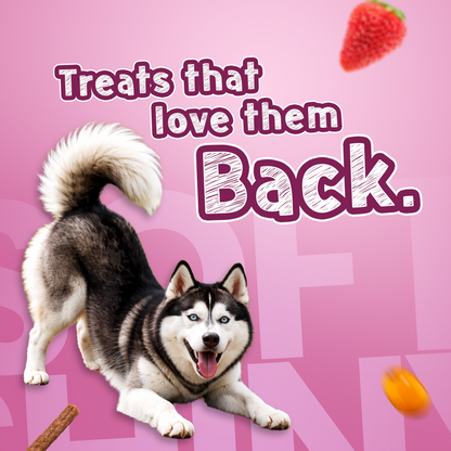 Shinyy+ Functional Treats - Skin & Coat Support Treats for Dogs