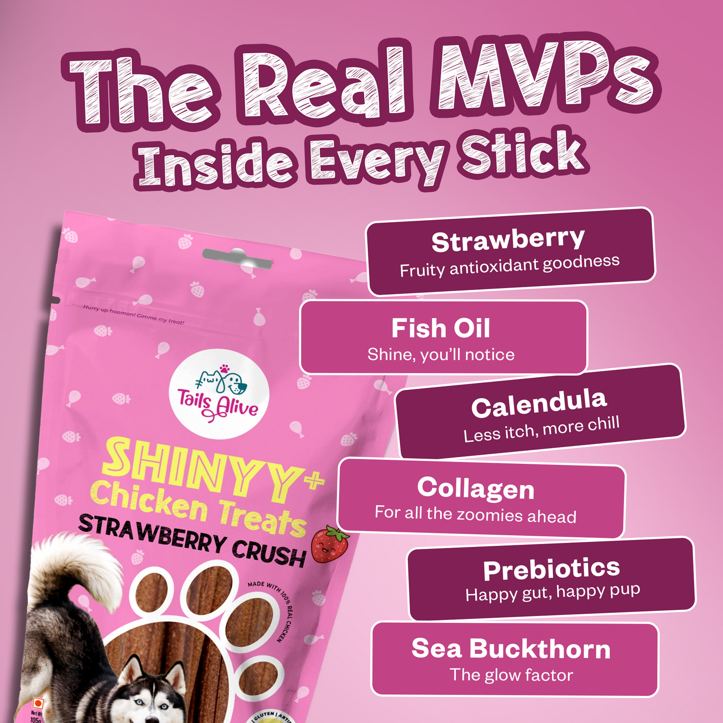 Shinyy+ Functional Treats - Skin & Coat Support Treats for Dogs