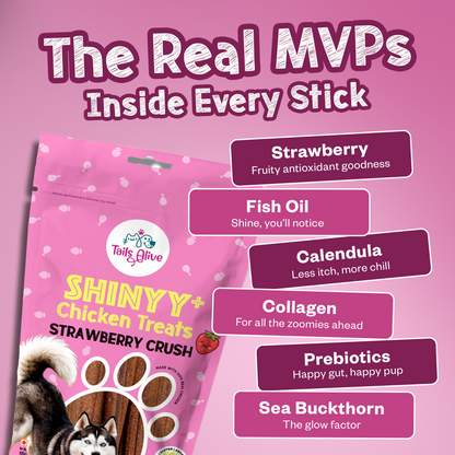 Shinyy+ Functional Treats - Skin & Coat Support Treats for Dogs