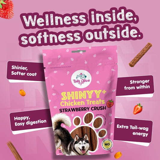 Shinyy+ Functional Treats - Skin & Coat Support Treats for Dogs